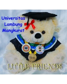 Boneka Wisuda Universitas Lambung Mangkurat - Perikanan dan Ilmu Kelautan (30 cm)
